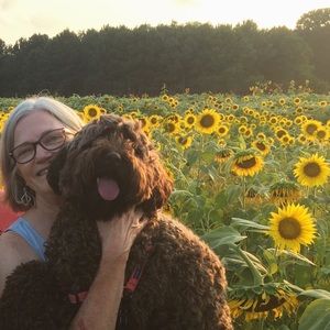 Meet your Posher, Debbie